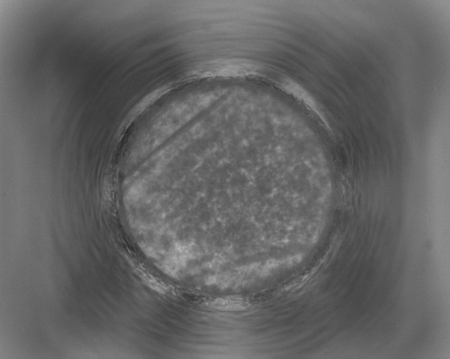 X0000082180874200702162324