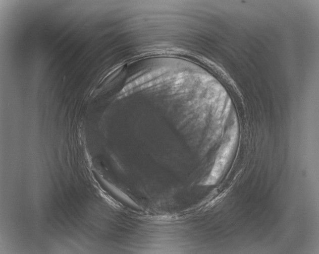 X0000082180889200702162324