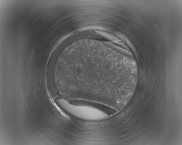 X0000082180898200702162323