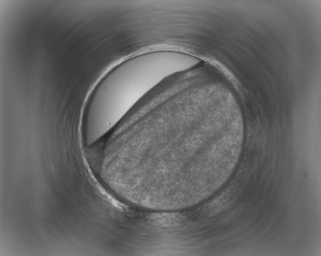 X0000082180902200702162323