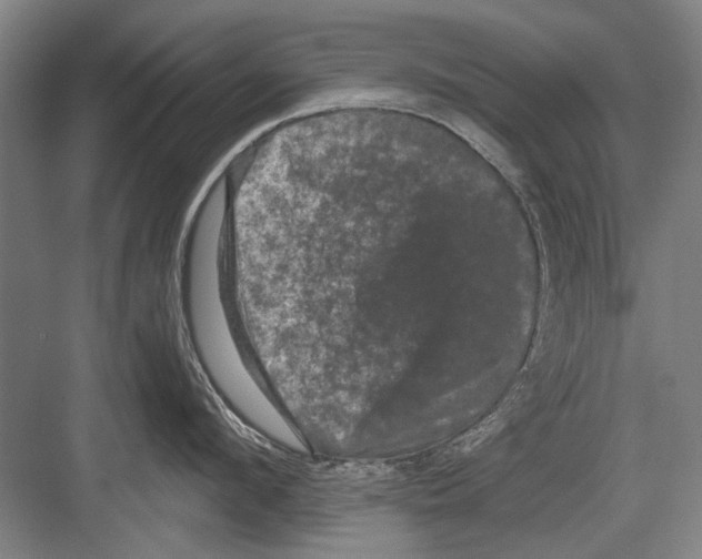 X0000082180912200702162323