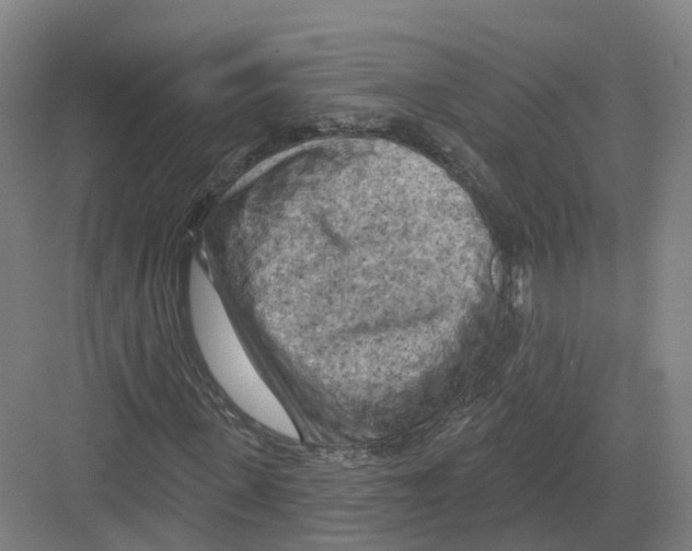 X0000082180915200702162322