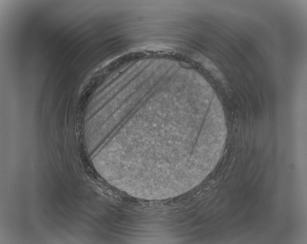 X0000082180920200702162323