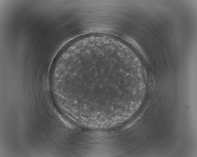 X0000082180924200702162323