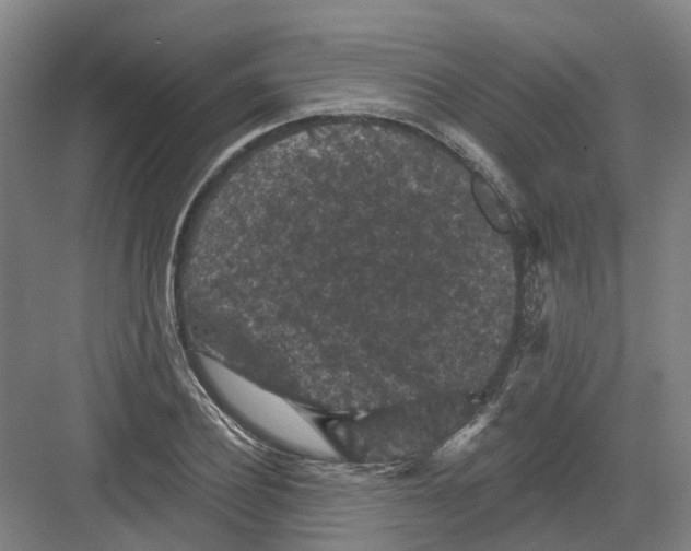 X0000082180932200702162323