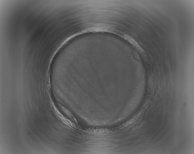 X0000082180934200702162323