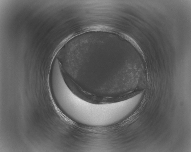 X0000082180946200702162323