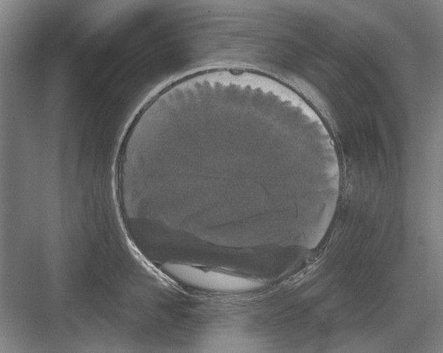 X0000082180958200702162323
