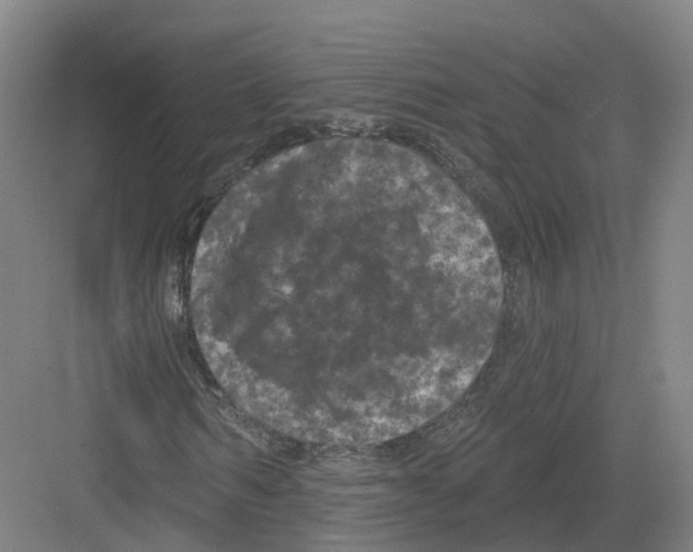 X0000082180962200702162322