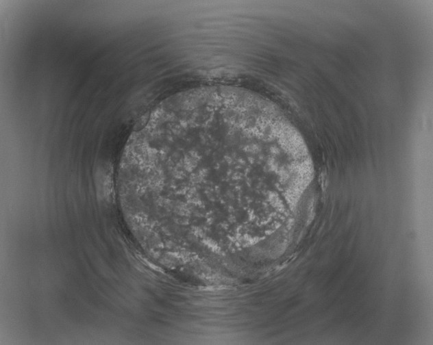 X0000082180963200702162322