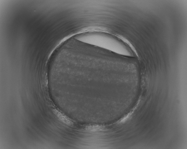 X0000082180973200702162322