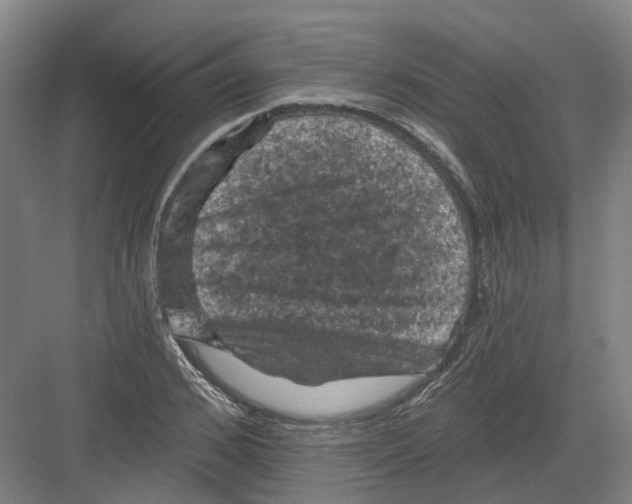 X0000082180976200702162322
