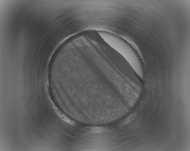 X0000082180984200702162322