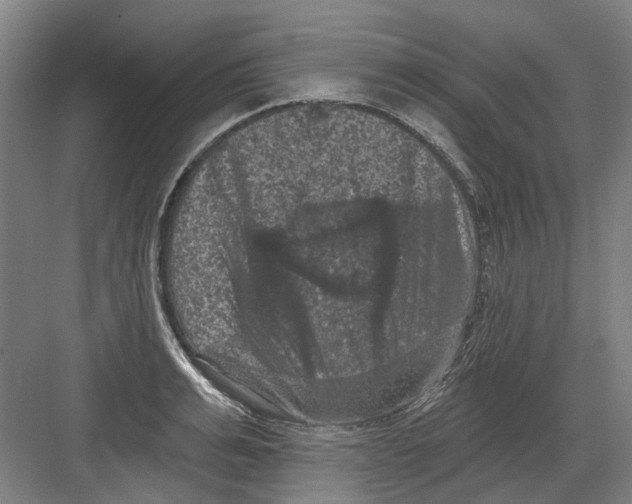 X0000082180991200702162322