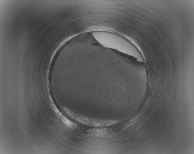 X0000082180995200702162322