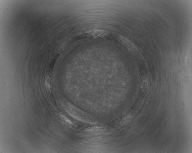 X0000082181010200702162321