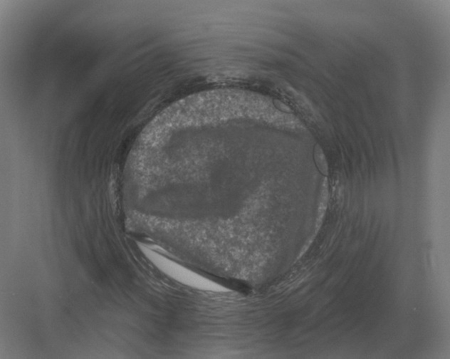 X0000082181012200702162321