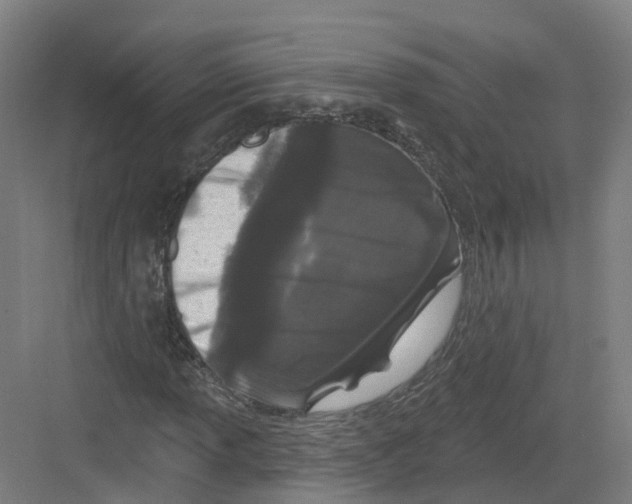 X0000082181013200702162321