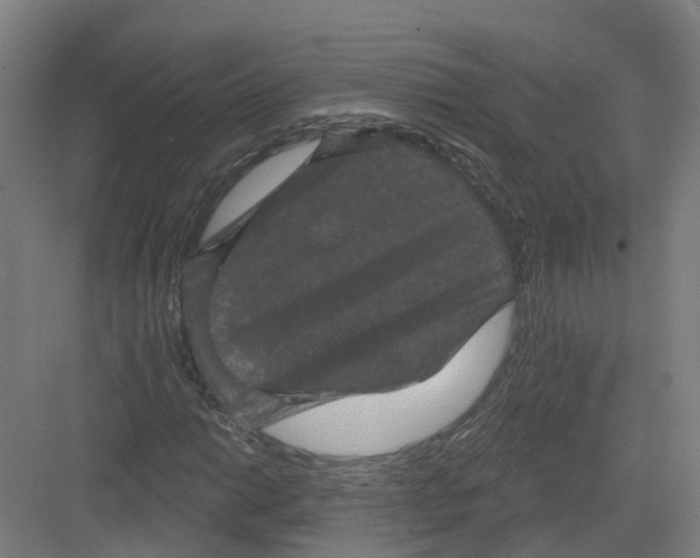 X0000082181014200702162321