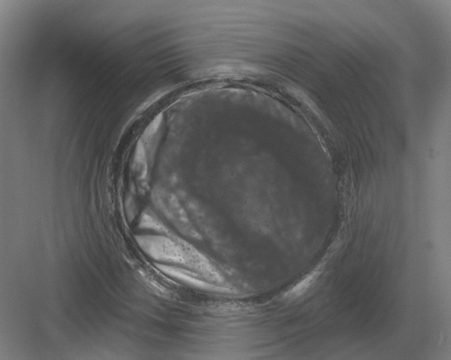 X0000082181018200702162321