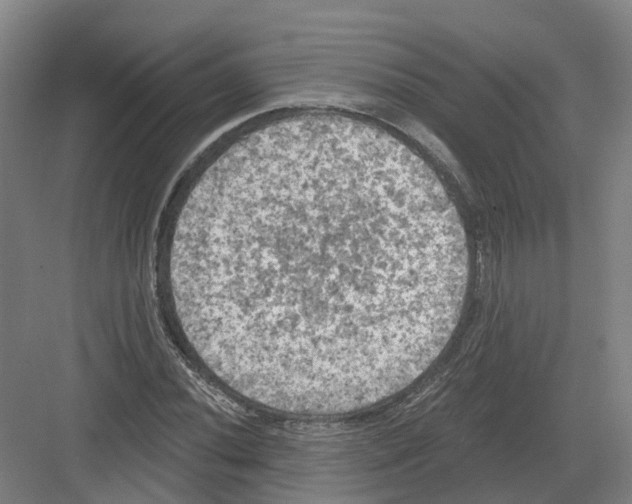 X0000082181020200702162321
