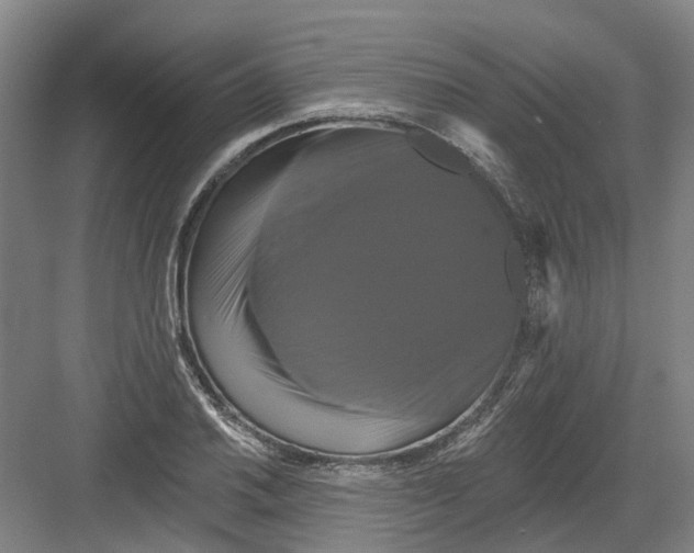 X0000082181030200702162321