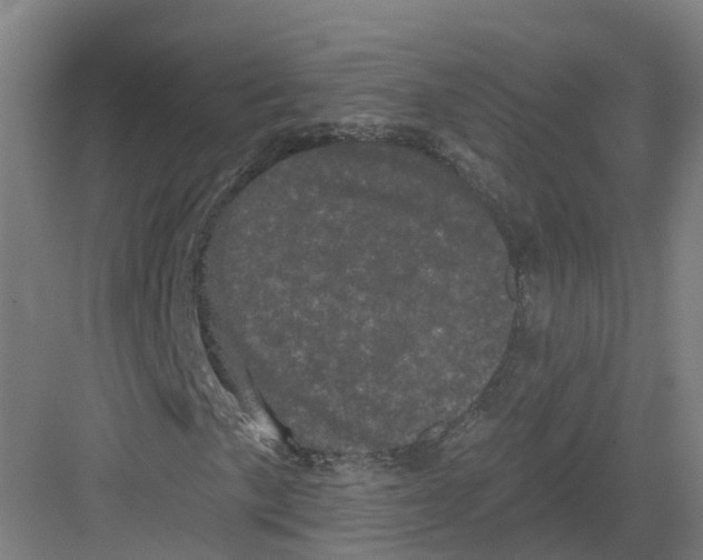 X0000082181057200702162321