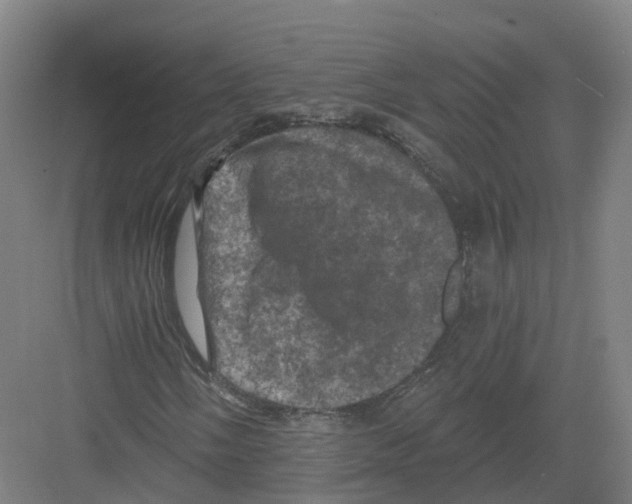 X0000082181058200702162321