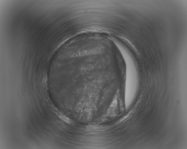 X0000082181065200702162321