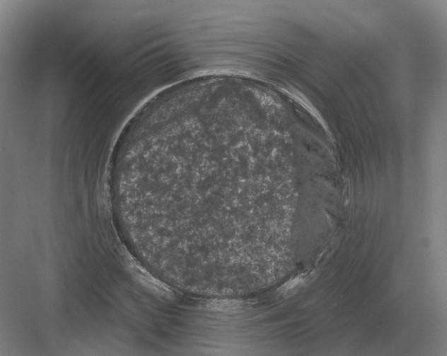 X0000082181068200702162321