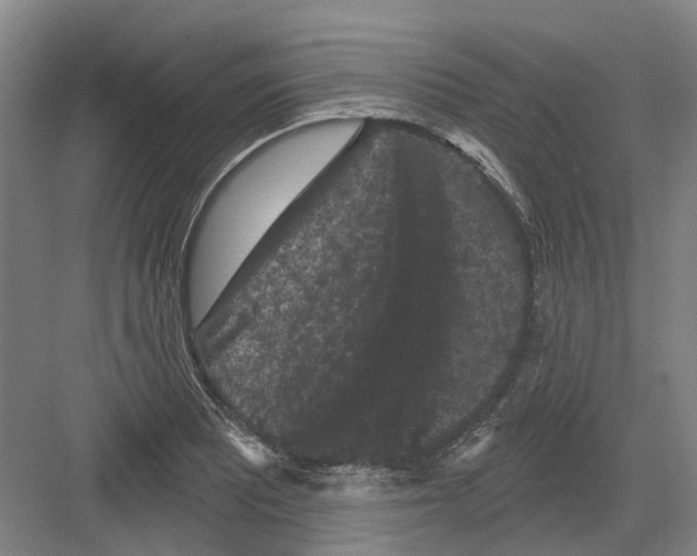 X0000082181081200702162320