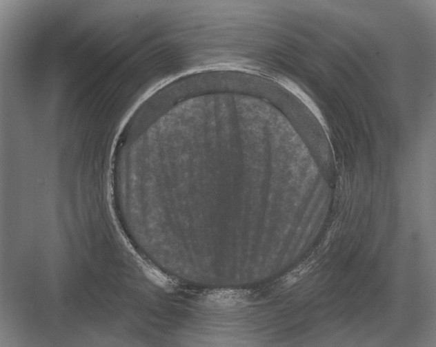 X0000082181093200702162320