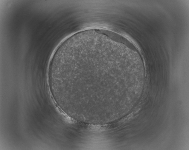 X0000082181104200702162320