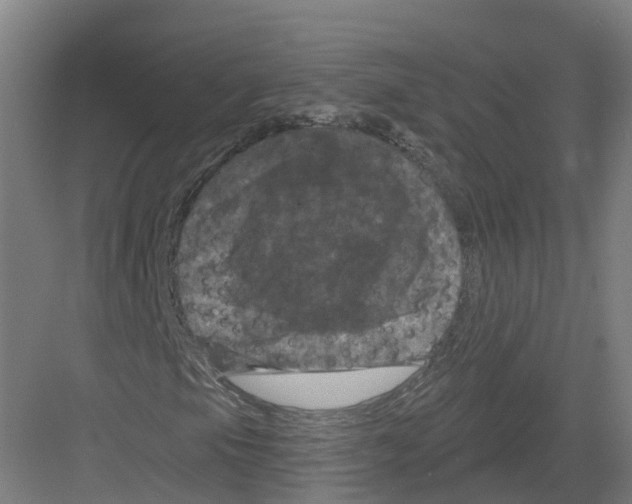 X0000082181105200702162319