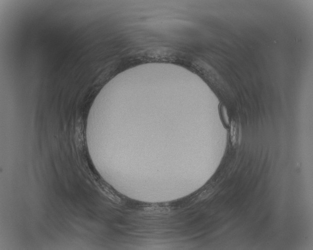 X0000082181107200702162319