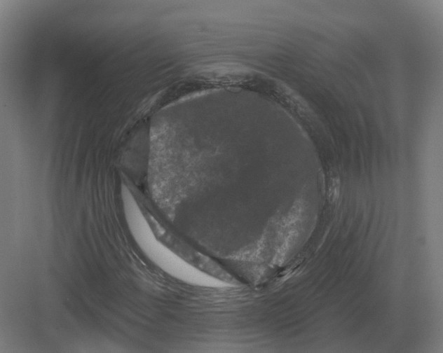 X0000082181108200702162319