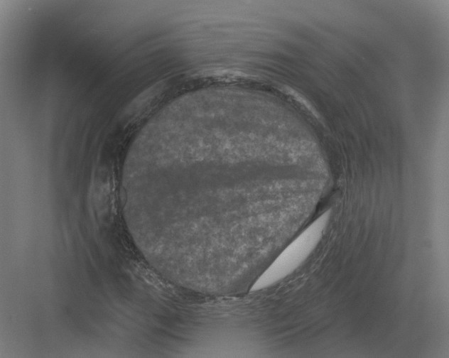 X0000082181111200702162319
