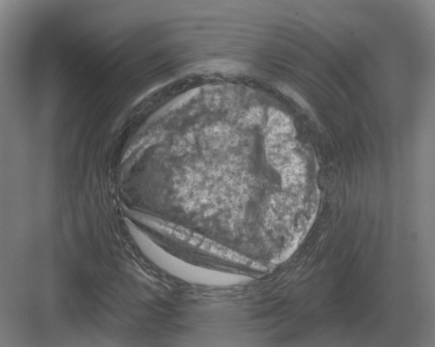 X0000082181112200702162319