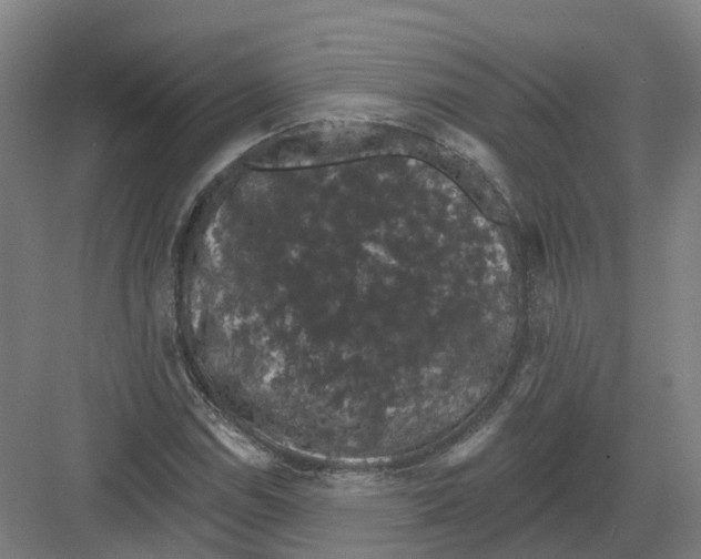 X0000082181114200702162319