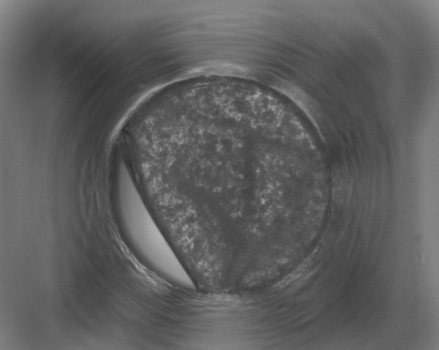 X0000082181115200702162319
