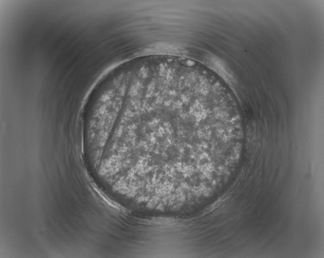 X0000082181123200702162319