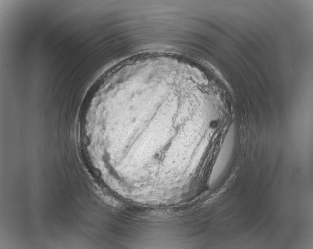 X0000082181125200702162320