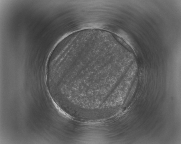 X0000082181143200702162320