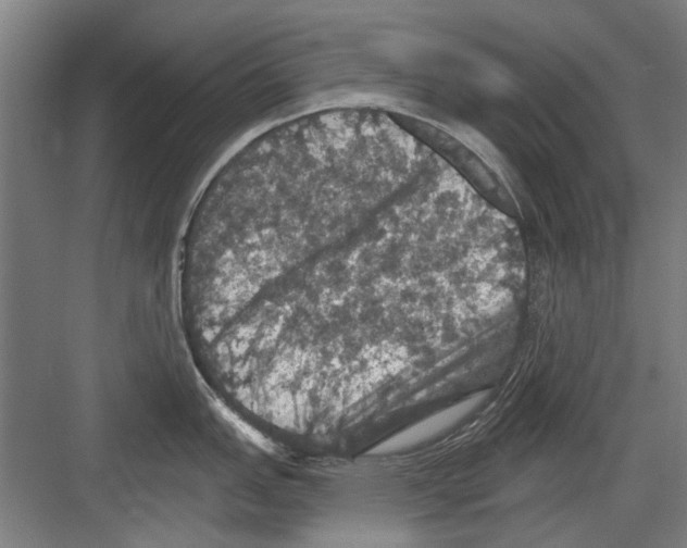 X0000082181151200702162320