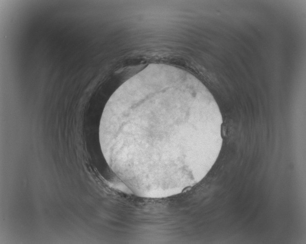 X0000082181153200702162319