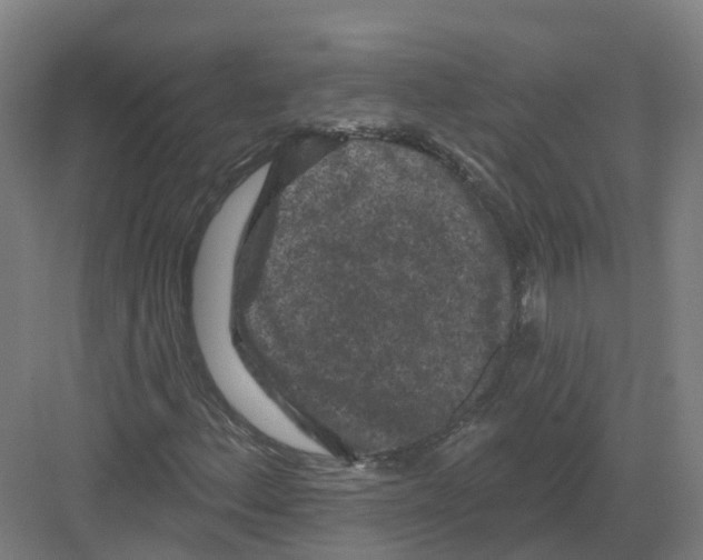 X0000082181156200702162319