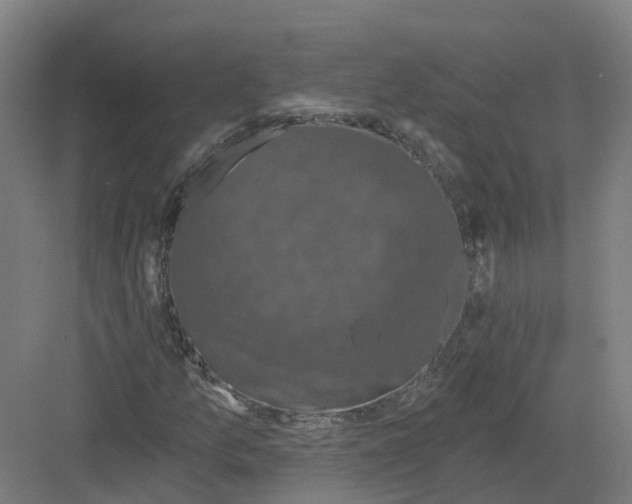 X0000082181157200702162319