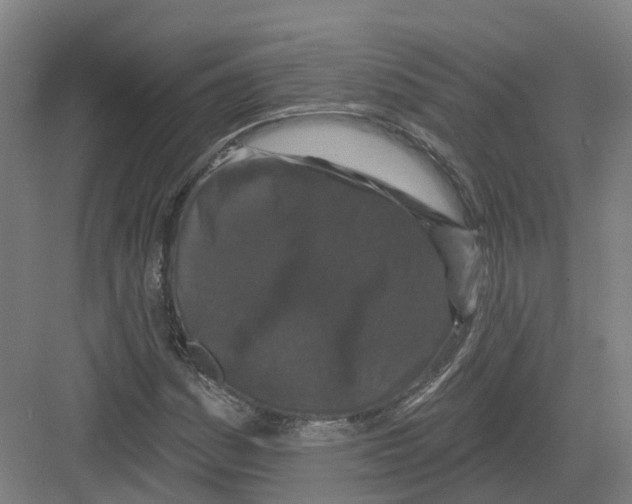 X0000082181161200702162319