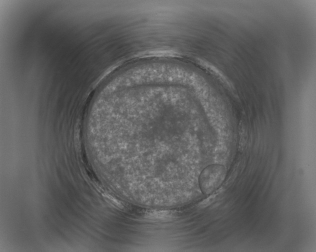 X0000082181162200702162319