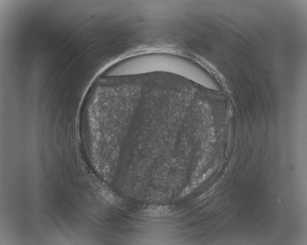 X0000082181174200702162319